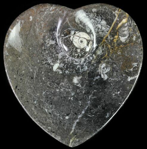 Heart Shaped Fossil Goniatite Dish #61257